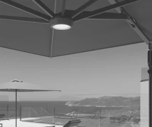 K - immagine 2